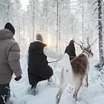 Halo Igloos Rovaniemi