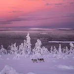 Отель Halo Igloos