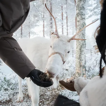 Halo Igloos فندق 4*