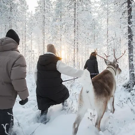 Halo Igloos Rovaniemi