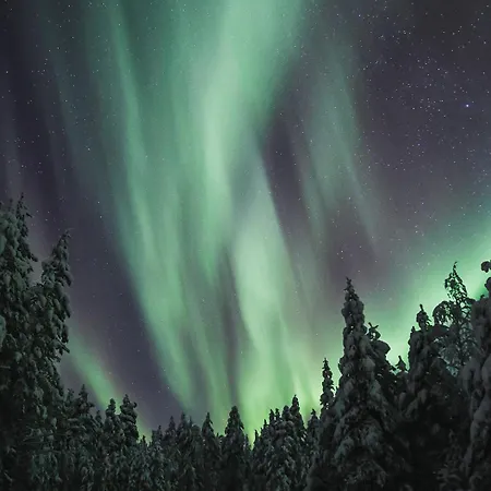 Halo Igloos Rovaniemi