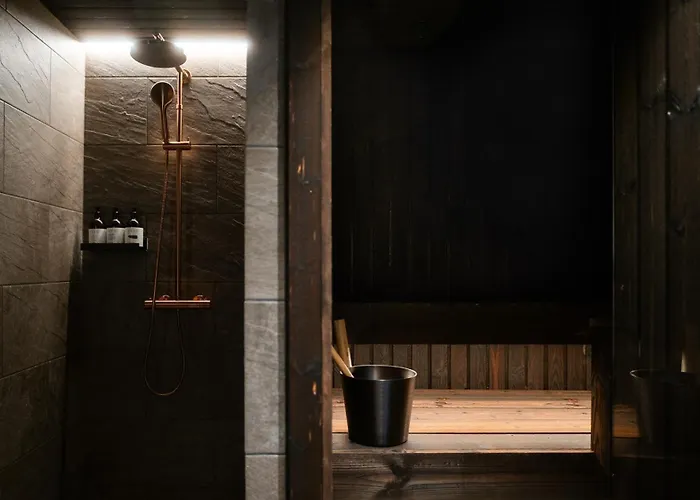 Halo Igloos 4* 로바니에미